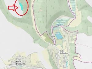 Prodej lesa, Horní Bukovina, 2690 m2