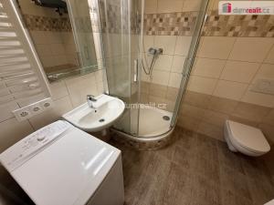 Pronájem bytu 1+kk, Praha - Smíchov, Drtinova, 27 m2