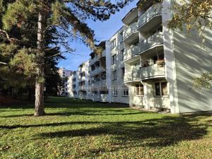 Pronájem bytu 1+1, Brno, 28 m2