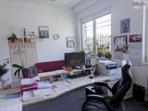 Pronájem kanceláře, Teplice, Novosedlická, 36 m2