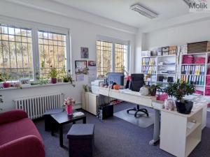 Pronájem kanceláře, Teplice, Novosedlická, 36 m2