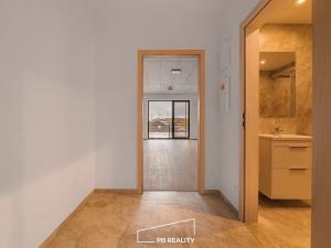 Pronájem bytu 1+kk, Plzeň, Kamenická, 55 m2