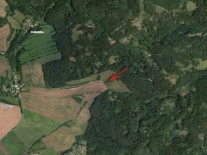 Prodej lesa, Kozárovice, 40085 m2