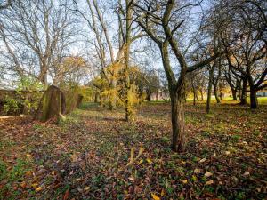 Prodej pozemku pro bydlení, Budětsko, 13897 m2