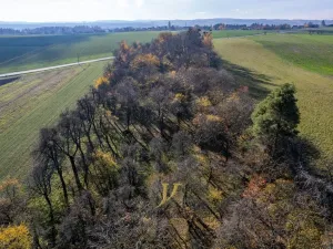 Prodej pozemku pro bydlení, Budětsko, 13897 m2