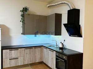 Pronájem bytu 1+kk, Praha, Březenská, 66 m2