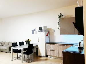 Pronájem bytu 1+kk, Praha, Březenská, 66 m2