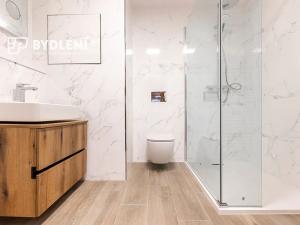 Pronájem bytu 2+kk, Teplice, Novoveská, 47 m2