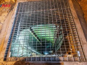 Pronájem obchodního prostoru, Praha - Žižkov, Seifertova, 110 m2