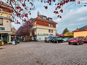 Prodej bytu 1+kk, Dobřichovice, Palackého, 20 m2