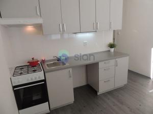 Pronájem bytu 1+1, Ostrava - Moravská Ostrava, Hornopolní, 34 m2