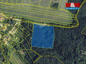 Prodej lesa, Městečko Trnávka - Stará Roveň, 81768 m2