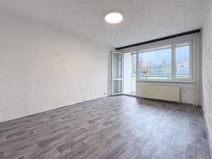 Pronájem bytu 1+1, Chomutov, Písečná, 42 m2