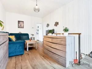 Prodej bytu 2+1, Dalovice - Všeborovice, Dolní, 62 m2