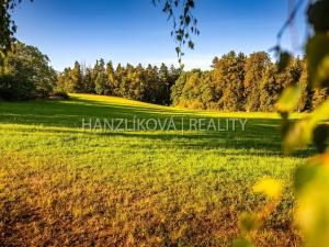 Prodej pozemku pro bydlení, Dubičné, 3914 m2