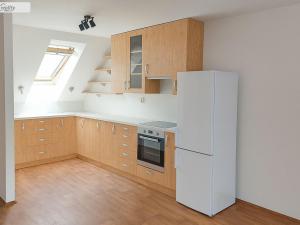 Pronájem bytu 1+kk, Nečín - Lipiny, 55 m2