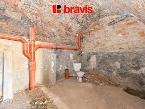 Prodej obchodního prostoru, Zastávka, 1. máje, 241 m2