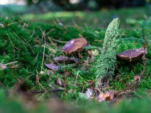 Prodej chaty, Hradištko, Kersko, 50 m2