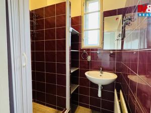 Pronájem rodinného domu, České Budějovice - České Budějovice 7, K. Lávičky, 90 m2