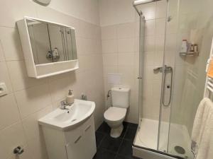 Pronájem bytu 1+kk, Zábřeh, Valová, 25 m2