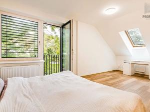 Prodej kanceláře, Brno, Obecní, 287 m2