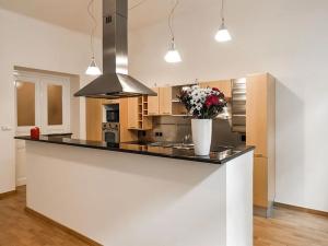 Pronájem bytu 3+1, Praha - Vinohrady, Mánesova, 118 m2