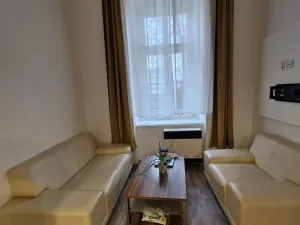 Pronájem bytu 1+1, Brno, Cejl, 28 m2