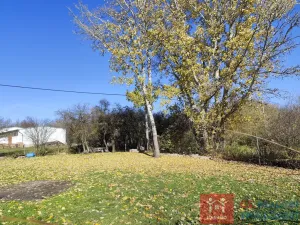 Prodej zahrady, Božice, 1119 m2