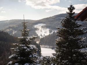 Prodej bytu 1+kk, Špindlerův Mlýn, 21 m2