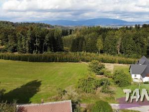 Prodej pozemku pro bydlení, Borovnice, 1000 m2