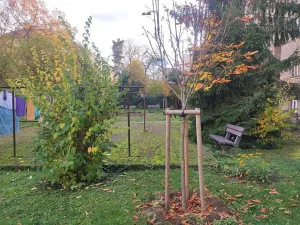 Pronájem bytu 2+1, Praha - Nusle, 5. května, 67 m2