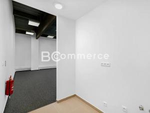 Pronájem výrobních prostor, Brno, Vinohradská, 446 m2