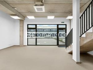 Pronájem výrobních prostor, Brno, Vinohradská, 446 m2