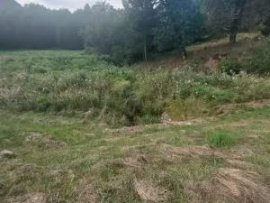 Pronájem rybníku, Komárovice, 9025 m2