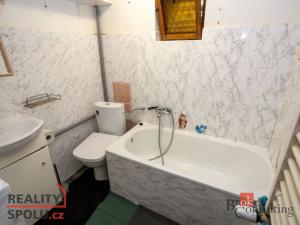 Pronájem rodinného domu, Okřesaneč, 155 m2