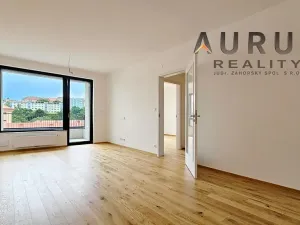 Pronájem bytu 2+kk, Praha - Nusle, Bělehradská, 60 m2