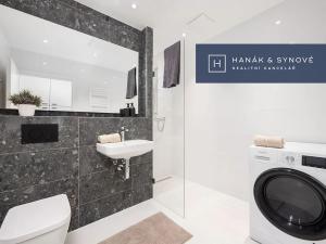 Pronájem bytu 1+kk, Brno, Cejl, 31 m2