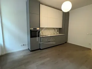 Pronájem bytu 3+kk, Praha - Vinohrady, Třebízského, 98 m2