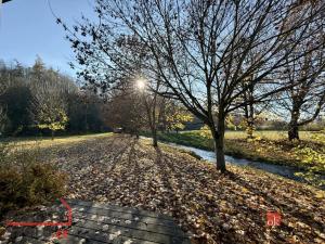 Pronájem atypického bytu, 42 m2