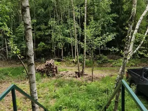 Prodej lesa, Hlubočky, 6680 m2