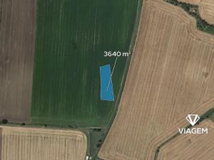 Prodej pole, Vinařice, 3640 m2