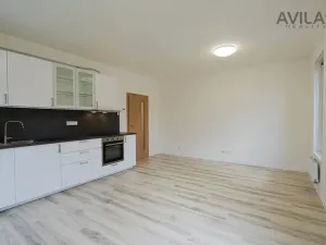 Pronájem bytu 1+kk, Benešov, U Pivovaru, 33 m2