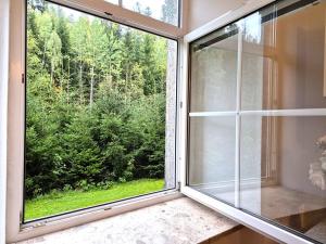 Prodej bytu 2+1, Bayerisch Eisenstein, Německo, Bahnhofstraße, 53 m2