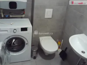 Pronájem bytu 1+kk, Dobrovice, Na Hložku, 30 m2