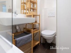 Pronájem bytu 2+kk, Praha - Vinohrady, Na Kozačce, 52 m2