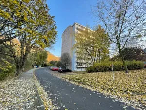 Pronájem bytu 1+kk, Ústí nad Labem, Baráčnická, 33 m2