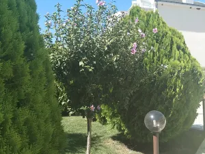 Prodej bytu 2+kk, Nesebar, Bulharsko, 58 m2