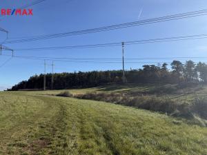 Prodej louky, Nečín, 16453 m2