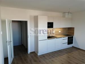 Pronájem bytu 3+kk, České Budějovice - České Budějovice 5, Fr. Škroupa, 66 m2