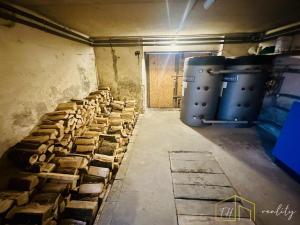 Prodej vícegeneračního domu, Třebušín, 750 m2